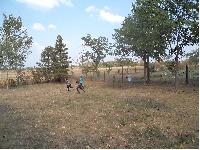 dsc01583.jpg