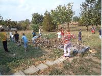 dsc01638.jpg