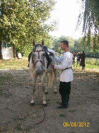 100_5213.jpg