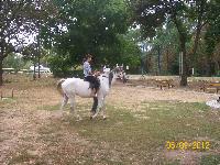 100_5341.jpg