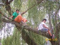 100_5352.jpg