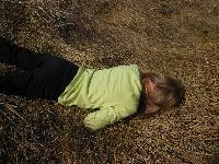 dscn3581.jpg