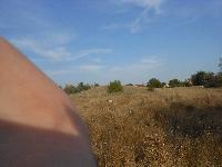 dscn3594.jpg