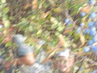dscn3614.jpg