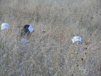 dscn3617.jpg