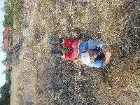 dscn3619.jpg