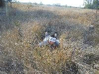 dscn3620.jpg