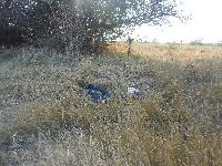 dscn3621.jpg