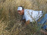dscn3625.jpg
