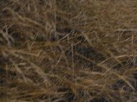 dscn3628.jpg