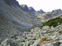 imgp0324.jpg