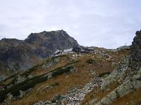 imgp0326.jpg