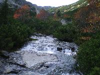 imgp0357.jpg