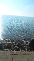balaton.jpg