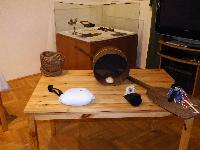 dscf0079.jpg