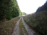 p1180235.jpg