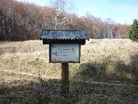 p1180246.jpg