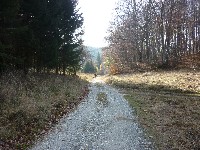 p1180247.jpg