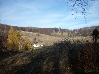 p1180251.jpg