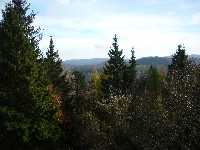 p1180262.jpg