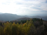 p1180270.jpg