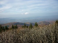 p1180271.jpg