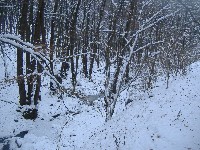 dscf4504.jpg