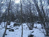 dscf4509.jpg