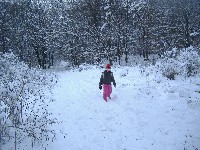 dscf4521.jpg