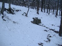 dscf4526.jpg