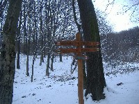 dscf4528.jpg