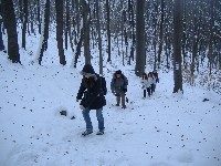 dscf4533.jpg