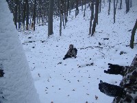 dscf4534.jpg