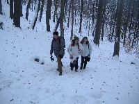 dscf4535.jpg