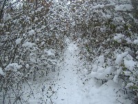 dscf4550.jpg