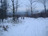 dscf4551.jpg