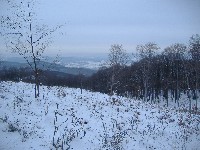 dscf4557.jpg