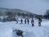 dscf4620.jpg