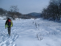 dscf4624.jpg