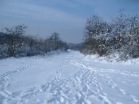 dscf4629.jpg