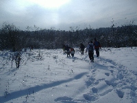 dscf4631.jpg