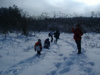 dscf4632.jpg
