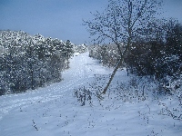 dscf4633.jpg