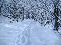 dscf4636.jpg