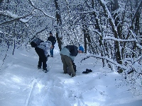 dscf4637.jpg