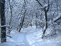 dscf4642.jpg
