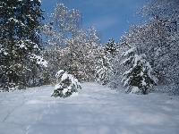dscf4643.jpg