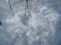 dscf4646.jpg