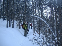 dscf4648.jpg