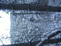 dscf4649.jpg